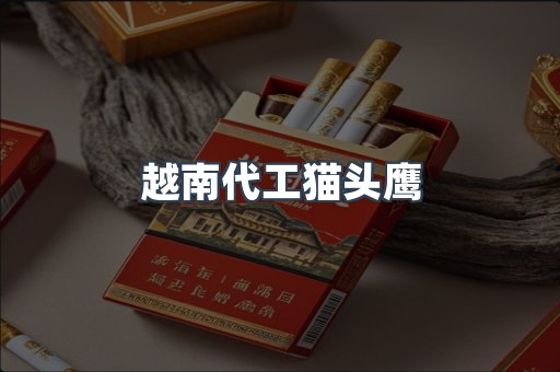 越南代工猫头鹰